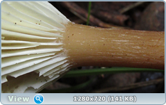 0_10b0ed_3590f131_orig.png