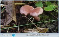 0_1122be_c421eb80_orig.png