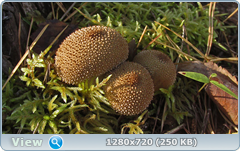 0_11335c_6760fdc2_orig.png