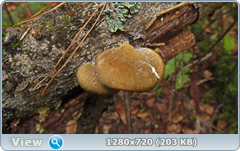 0_115096_2be97171_orig.png