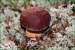 0_12d397_4f60a0bc_orig.jpg
