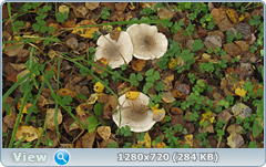 0_112aa2_5dc78d0_orig.png