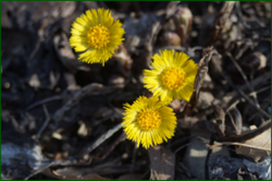 0_e0220_476ca0a2_orig.png