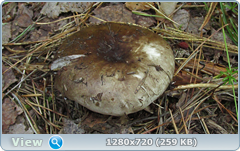 0_fbb05_91b9724f_orig.png