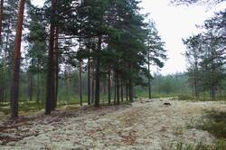 0_129281_3760eb08_orig.jpg
