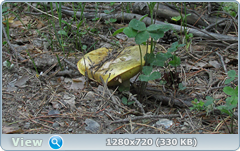0_107e5d_92b588d3_orig.png