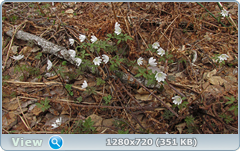 0_103e0a_fcd49252_orig.png