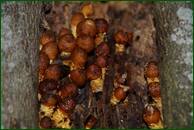 0_eedec_6f15d29a_orig.jpg