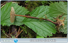 0_10aa62_7ff8e1af_orig.png