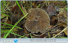 0_10b113_d15269d2_orig.png
