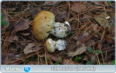0_10b117_670ab0b5_orig.png