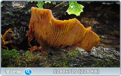 0_10b121_e595172b_orig.png