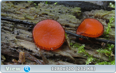 0_10b148_79ba4825_orig.png