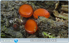 0_10b14a_c829638b_orig.png