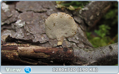 0_10b2ea_15f2adb5_orig.png