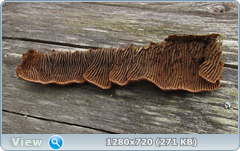 0_114ff9_57a76b49_orig.png