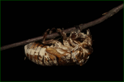 0_e6b92_eef2092d_orig.png