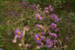 0_eec7a_1d56f7d2_orig.jpg