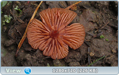 0_10aa52_9eff78ea_orig.png