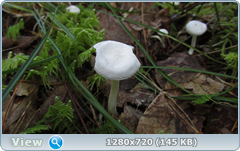 0_112a03_d6411d6b_orig.png
