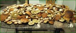 0_ec07e_f805e18_orig.jpg