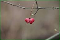 0_f16a5_fd8627b3_orig.jpg