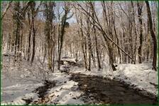 0_f1824_318f5649_orig.jpg