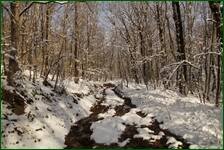 0_f1836_89ad7301_orig.jpg