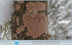0_11c9e2_210cf00a_orig.png