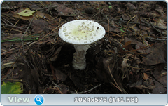 0_12bef1_3c6fa52a_orig.png