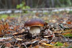 0_12e501_c2e43ef5_orig.jpg