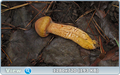 0_10a6d3_8a4fc24d_orig.png