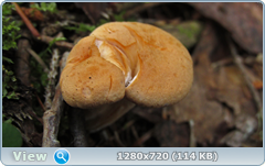 0_10b264_bf68e61d_orig.png