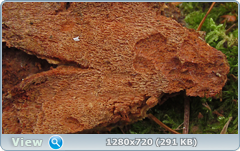 0_11506e_ce40026e_orig.png