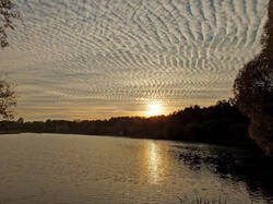0_c369f_7ab1a670_M.jpg
