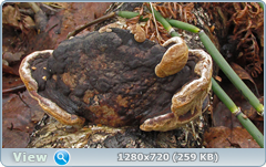 0_f6e2c_2333b737_orig.png