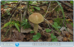 0_ef365_38e90745_orig.png