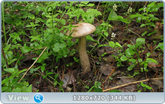 0_109662_c199adf_orig.png