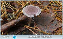 0_1096f6_82f16ab8_orig.png