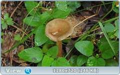 0_10b0e7_572e1782_orig.png