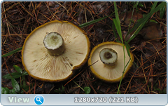 0_11057b_bd42d51b_orig.png
