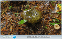 0_11057f_c74a022d_orig.png