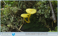 0_127f29_894800c3_orig.png