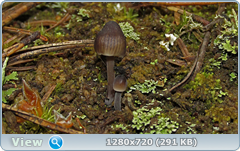 0_103d59_a95bced8_orig.png