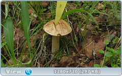 0_10a2d7_49261ce5_orig.png