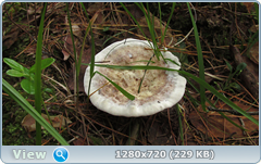 0_10b240_71b4e07b_orig.png