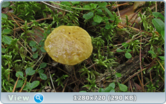 0_10f283_f5395165_orig.png