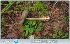 0_10f2f5_69dc3176_orig.png