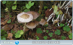 0_113364_d4106668_orig.png