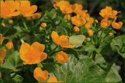 0_11f098_fdd045e5_orig.jpg